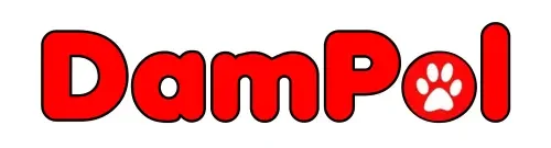 DamPol24